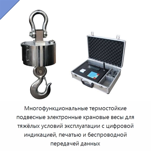 Многофункциональные термостойкие подвесные электронные крановые весы для тяжёлых условий эксплуатации с цифровой индикацией, печатью и беспроводной передачей данных