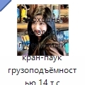 Самоходный складной гусеничный кран-паук грузоподъёмностью 14 т с гидравлической системой подъёма