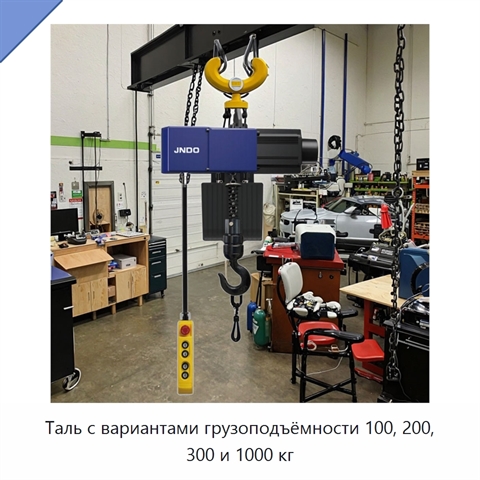 Таль с вариантами грузоподъёмности 100, 200, 300 и 1000 кг