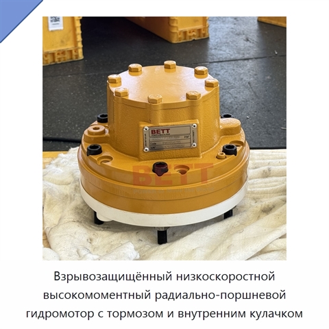 Взрывозащищённый низкоскоростной высокомоментный радиально-поршневой гидромотор с тормозом и внутренним кулачком