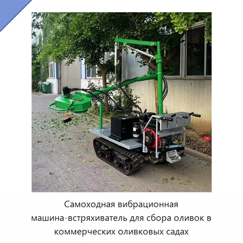 Самоходная вибрационная машина-встряхиватель для сбора оливок в коммерческих оливковых садах