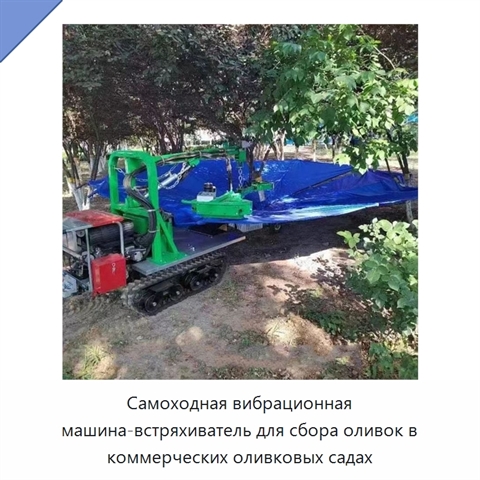 Самоходная вибрационная машина-встряхиватель для сбора оливок в коммерческих оливковых садах