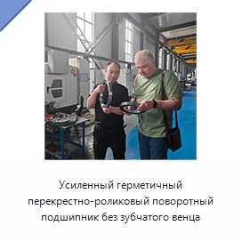 Усиленный герметичный перекрестно-роликовый поворотный подшипник без зубчатого венца