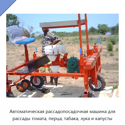 Автоматическая рассадопосадочная машина для рассады томата, перца, табака, лука и капусты