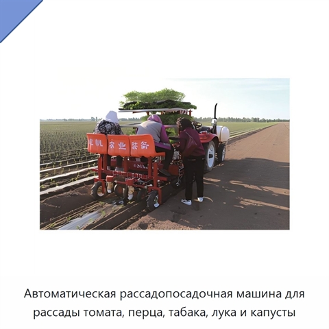 Автоматическая рассадопосадочная машина для рассады томата, перца, табака, лука и капусты