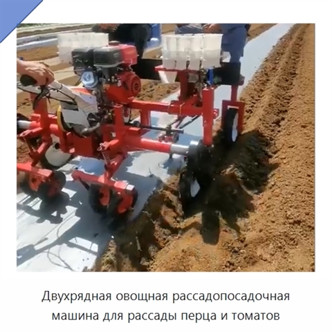 Двухрядная овощная рассадопосадочная машина для рассады перца и томатов
