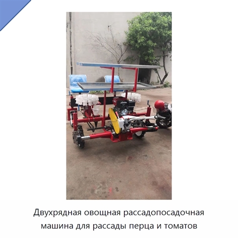 Двухрядная овощная рассадопосадочная машина для рассады перца и томатов