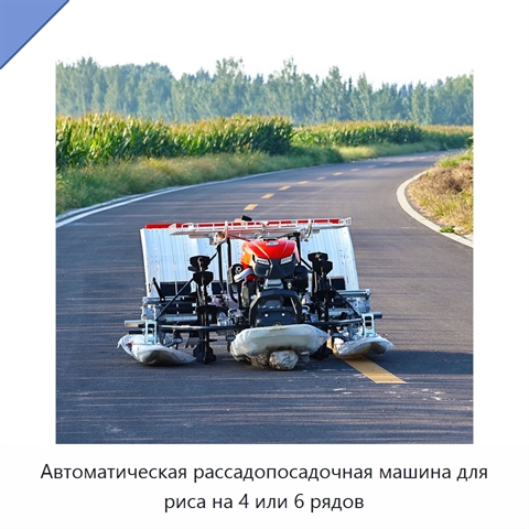 Автоматическая рассадопосадочная машина для риса на 4 или 6 рядов