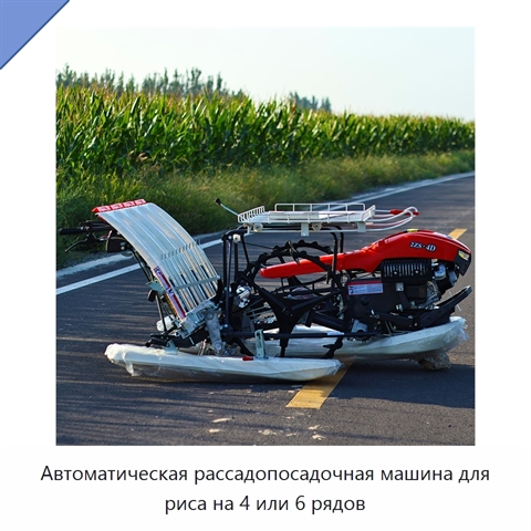 Автоматическая рассадопосадочная машина для риса на 4 или 6 рядов