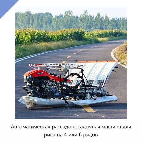 Автоматическая рассадопосадочная машина для риса на 4 или 6 рядов