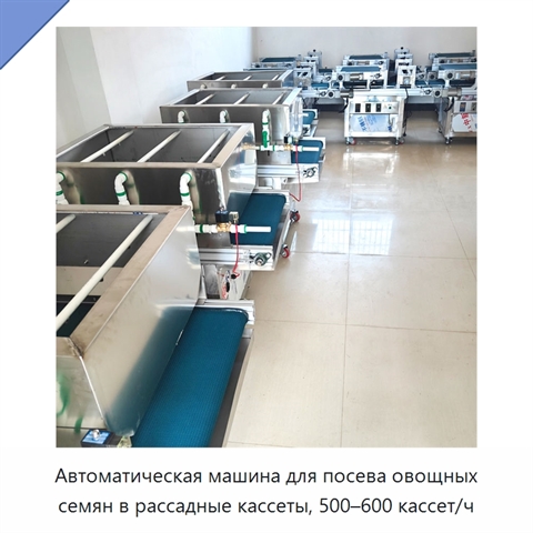 Автоматическая машина для посева овощных семян в рассадные кассеты, 500–600 кассет/ч