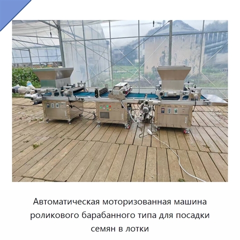 Автоматическая моторизованная машина роликового барабанного типа для посадки семян в лотки