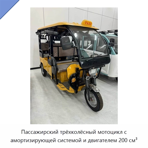 Пассажирский трёхколёсный мотоцикл с амортизирующей системой и двигателем 200 см³
