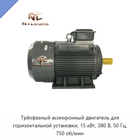 Трёхфазный асинхронный двигатель для горизонтальной установки, 15 кВт, 380 В, 50 Гц, 750 об/мин
