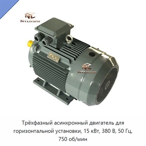 Трёхфазный асинхронный двигатель для горизонтальной установки, 15 кВт, 380 В, 50 Гц, 750 об/мин