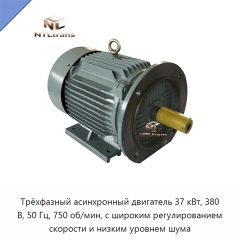Трёхфазный асинхронный двигатель 37 кВт, 380 В, 50 Гц, 750 об/мин, с широким регулированием скорости и низким уровнем шума