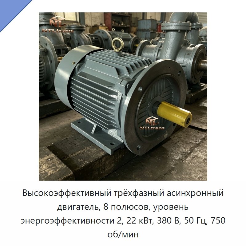 Высокоэффективный трёхфазный асинхронный двигатель, 8 полюсов, уровень энергоэффективности 2, 22 кВт, 380 В, 50 Гц, 750 об/мин — Электродвигатели переменного тока