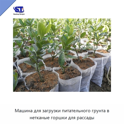 Машина для загрузки питательного грунта в нетканые горшки для рассады