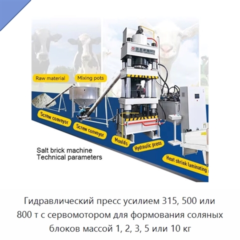 Гидравлический пресс усилием 315, 500 или 800 т с сервомотором для формования соляных блоков массой 1, 2, 3, 5 или 10 кг