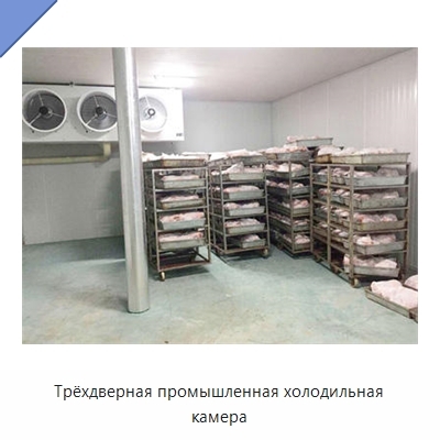 Трёхдверная промышленная холодильная камера
