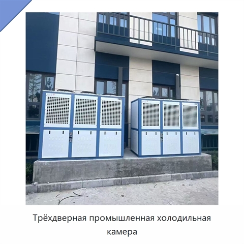 Трёхдверная промышленная холодильная камера