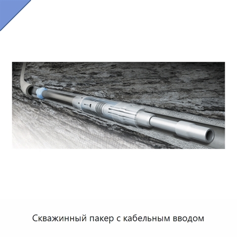 Скважинный пакер с кабельным вводом
