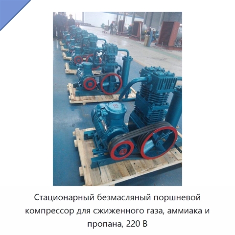 Стационарный безмасляный поршневой компрессор для сжиженного газа, аммиака и пропана, 220 В