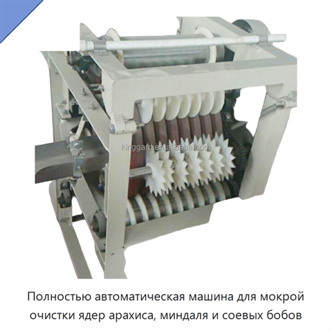 Полностью автоматическая машина для мокрой очистки ядер арахиса, миндаля и соевых бобов