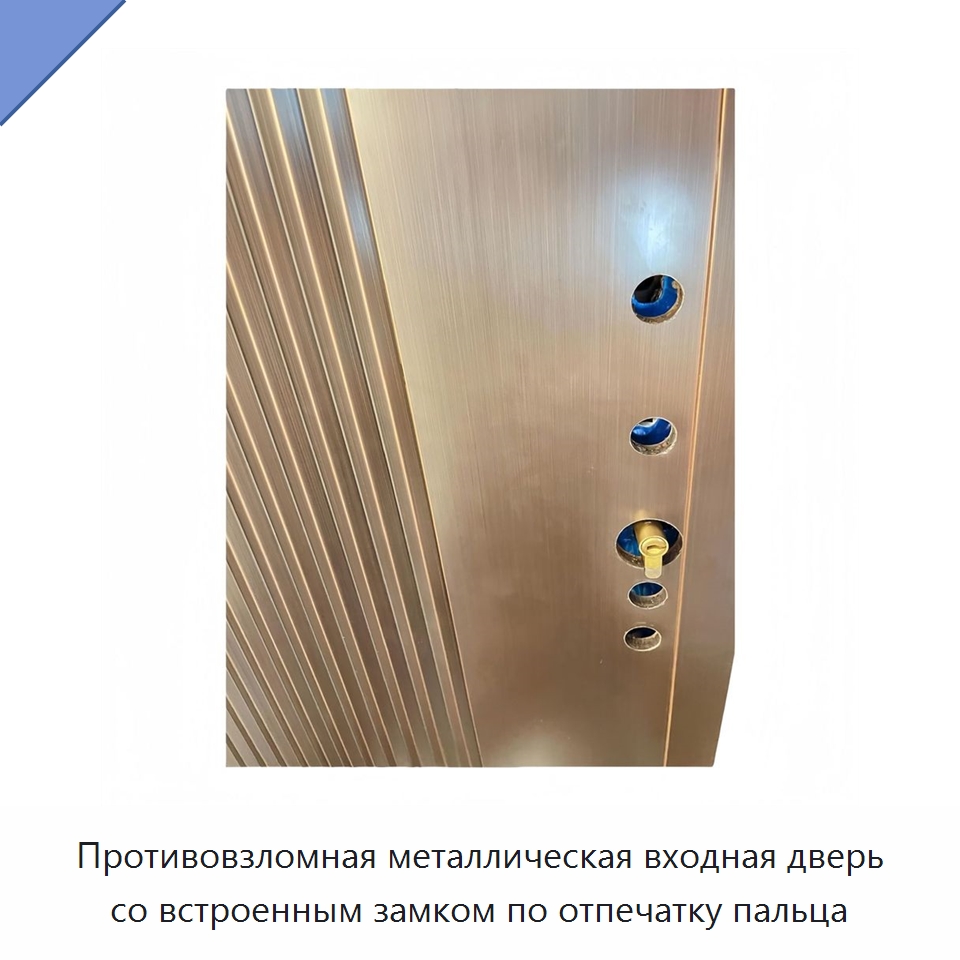 Противовзломная металлическая входная дверь со встроенным замком по отпечатку пальца