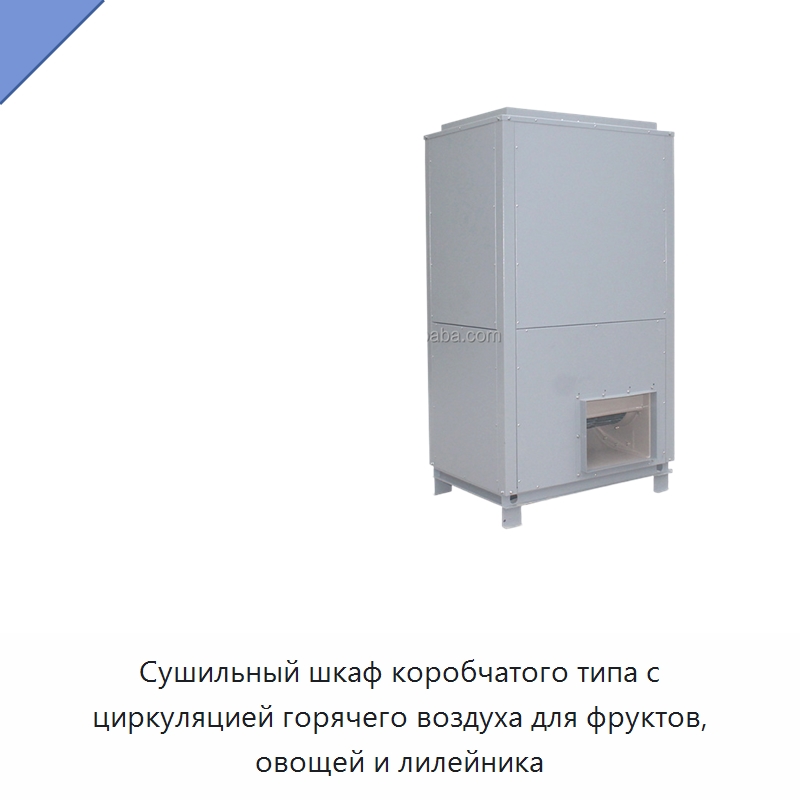 Сушильный шкаф коробчатого типа с циркуляцией горячего воздуха для фруктов, овощей и лилейника — Сушильное оборудование